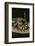 Western Diamondback Rattlesnake-DLILLC-Framed Photographic Print