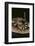 Western Diamondback Rattlesnake-DLILLC-Framed Photographic Print