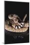 Western Diamondback Rattlesnake-DLILLC-Mounted Photographic Print