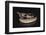 Western Diamondback Rattlesnake-DLILLC-Framed Photographic Print