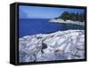 Western Head Trail, Penobscot Bay, Isle Au Haut, Maine, USA-Jerry & Marcy Monkman-Framed Stretched Canvas