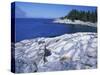 Western Head Trail, Penobscot Bay, Isle Au Haut, Maine, USA-Jerry & Marcy Monkman-Stretched Canvas