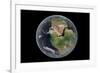 Western Hemisphere of the Earth During the Early Jurassic Period-null-Framed Art Print
