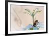 Western honeybee pollinating Desert passionflower, Mexico-Claudio Contreras-Framed Photographic Print