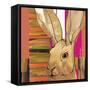 Western Jack Rabbit-Robbin Rawlings-Framed Stretched Canvas