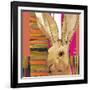 Western Jack Rabbit-Robbin Rawlings-Framed Art Print