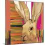 Western Jack Rabbit-Robbin Rawlings-Mounted Art Print