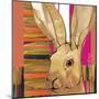 Western Jack Rabbit-Robbin Rawlings-Mounted Art Print