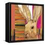 Western Jack Rabbit-Robbin Rawlings-Framed Stretched Canvas