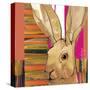 Western Jack Rabbit-Robbin Rawlings-Stretched Canvas