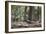 Western Jackdaws, Corvus Monedula, Standing on a Log and Feeding-Alex Saberi-Framed Photographic Print