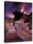 Western Juniper, Yosemite National Park, California, USA-Art Wolfe-Stretched Canvas