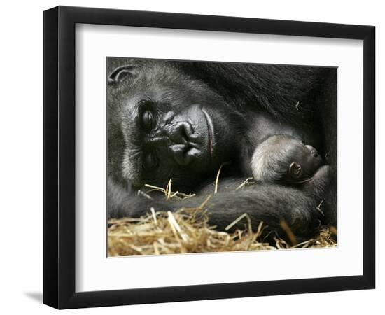 Premium Photographic Print, , large