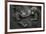 Western Lowland Gorilla (Gorilla Gorilla Gorilla) Twin Babies Age 45 Days Resting on Mother's Chest-Edwin Giesbers-Framed Photographic Print