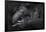 Western Lowland Gorilla (Gorilla Gorilla Gorilla) Twin Babies Age 45 Days Sleeping in Mother's Arms-Edwin Giesbers-Framed Photographic Print