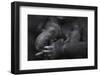 Western Lowland Gorilla (Gorilla Gorilla Gorilla) Twin Babies Age 45 Days Sleeping in Mother's Arms-Edwin Giesbers-Framed Photographic Print