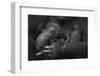 Western Lowland Gorilla (Gorilla Gorilla Gorilla) Twin Babies Age 45 Days Sleeping in Mother's Arms-Edwin Giesbers-Framed Photographic Print