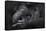 Western Lowland Gorilla (Gorilla Gorilla Gorilla) Twin Babies Age 45 Days Sleeping in Mother's Arms-Edwin Giesbers-Framed Stretched Canvas