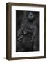 Western Lowland Gorilla (Gorilla Gorilla Gorilla) Twin Babies Age 45 Days Sleeping-Edwin Giesbers-Framed Photographic Print