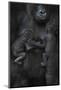 Western Lowland Gorilla (Gorilla Gorilla Gorilla) Twin Babies Age 45 Days Sleeping-Edwin Giesbers-Mounted Photographic Print