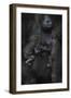 Western Lowland Gorilla (Gorilla Gorilla Gorilla) Twin Babies Age 45 Days Sleeping-Edwin Giesbers-Framed Photographic Print