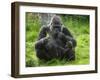 Western Lowland Gorilla Mother Feeding with Baby Investigating Grass. Captive, France-Eric Baccega-Framed Premium Photographic Print