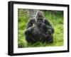 Western Lowland Gorilla Mother Feeding with Baby Investigating Grass. Captive, France-Eric Baccega-Framed Premium Photographic Print