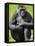 Western Lowland Gorilla Mother Holding Baby. Captive, France-Eric Baccega-Framed Stretched Canvas