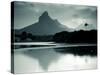 Western Mauritius, Tamarin, Montagne Du Rempart Mountain, Mauritius-Walter Bibikow-Stretched Canvas