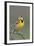 Western Meadow Lark Singing-Ken Archer-Framed Photographic Print