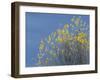 Western meadowlark on the fall aspen leaves. Bosque del Apache NWR, New Mexico-Maresa Pryor-Framed Photographic Print