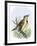 Western Meadowlark Singing-null-Framed Giclee Print