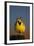 Western Meadowlark (Sturnella Neglecta) Singing-James Hager-Framed Photographic Print