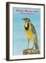 Western Meadowlark-null-Framed Art Print