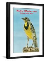 Western Meadowlark-null-Framed Art Print