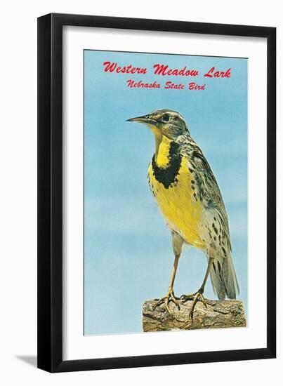 Western Meadowlark-null-Framed Art Print