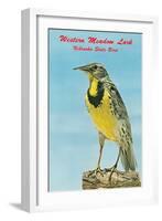 Western Meadowlark-null-Framed Art Print