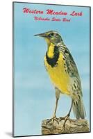 Western Meadowlark-null-Mounted Art Print