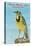 Western Meadowlark-null-Stretched Canvas