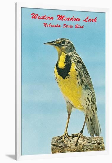 Western Meadowlark-null-Framed Art Print