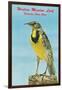 Western Meadowlark-null-Framed Art Print