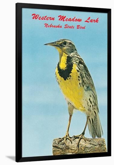 Western Meadowlark-null-Framed Art Print