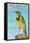 Western Meadowlark-null-Framed Stretched Canvas