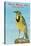 Western Meadowlark-null-Stretched Canvas