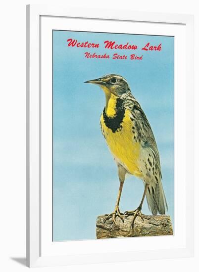 Western Meadowlark-null-Framed Art Print