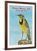 Western Meadowlark-null-Framed Art Print