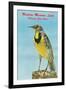 Western Meadowlark-null-Framed Art Print