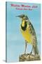 Western Meadowlark-null-Stretched Canvas