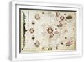 White Frame