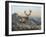 Western Monarch-Chuck Black-Framed Giclee Print